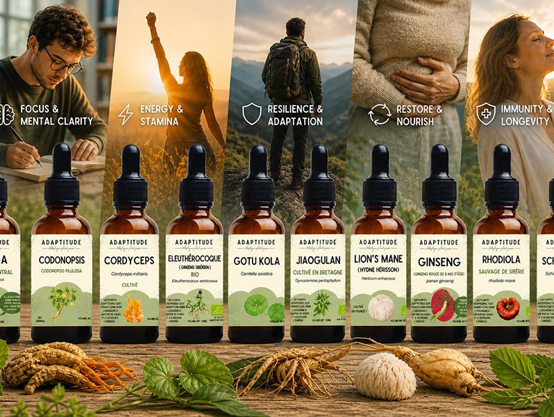 Adaptogen Guide - Elliotti