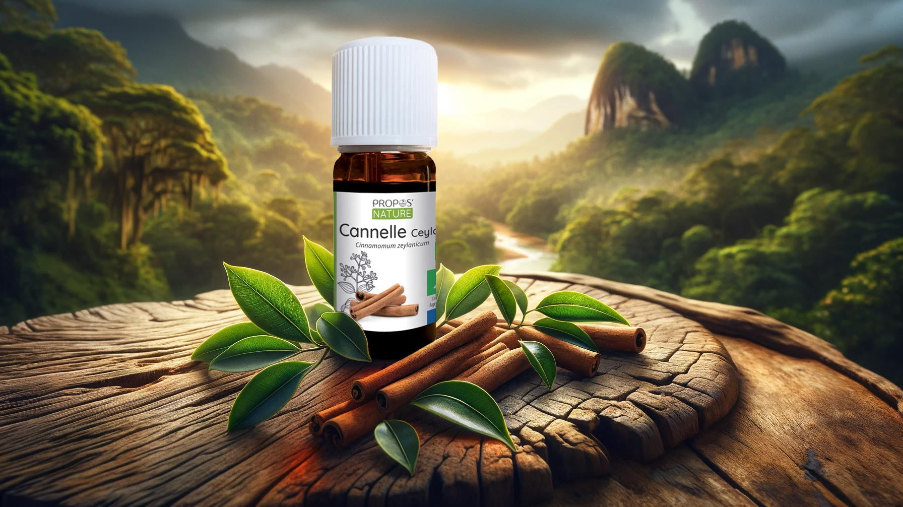 Cinnamon Oil: Your Guide to Benefits, Uses, and Tips - Elliotti