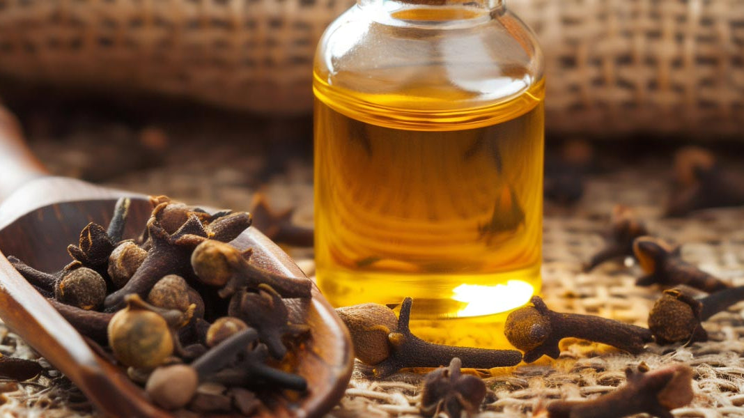 Clove Essential Oil: A Warm and Powerful Treasure for Wellness and Everyday Use - Elliotti