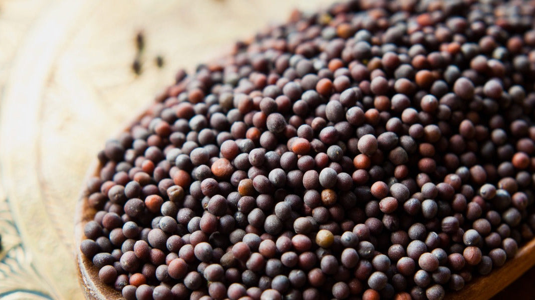 15 Amazing Ways to Use Mustard Oil for Hair, Skin, and Wellness