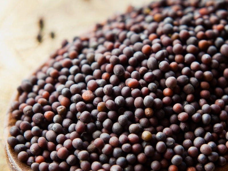 15 Amazing Ways to Use Mustard Oil for Hair, Skin, and Wellness