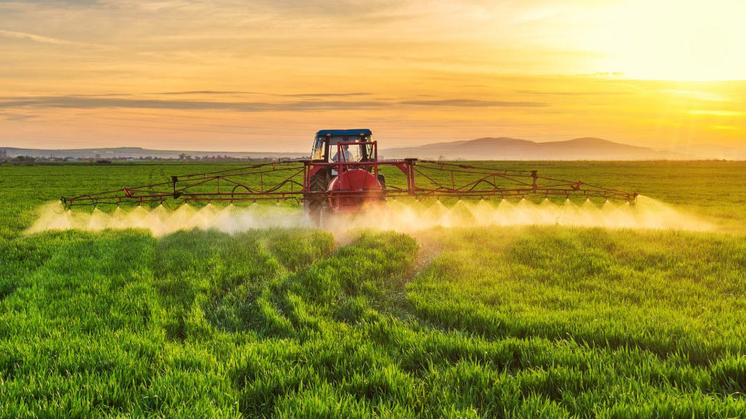 Organic or Certified Organic? Why the Difference Matters - Elliotti