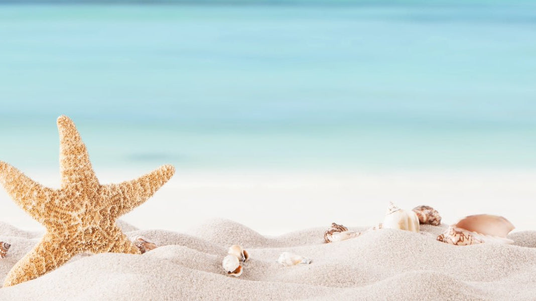 Sun Safe, Earth Safe: Organic Plant-Based Sun Care - Elliotti