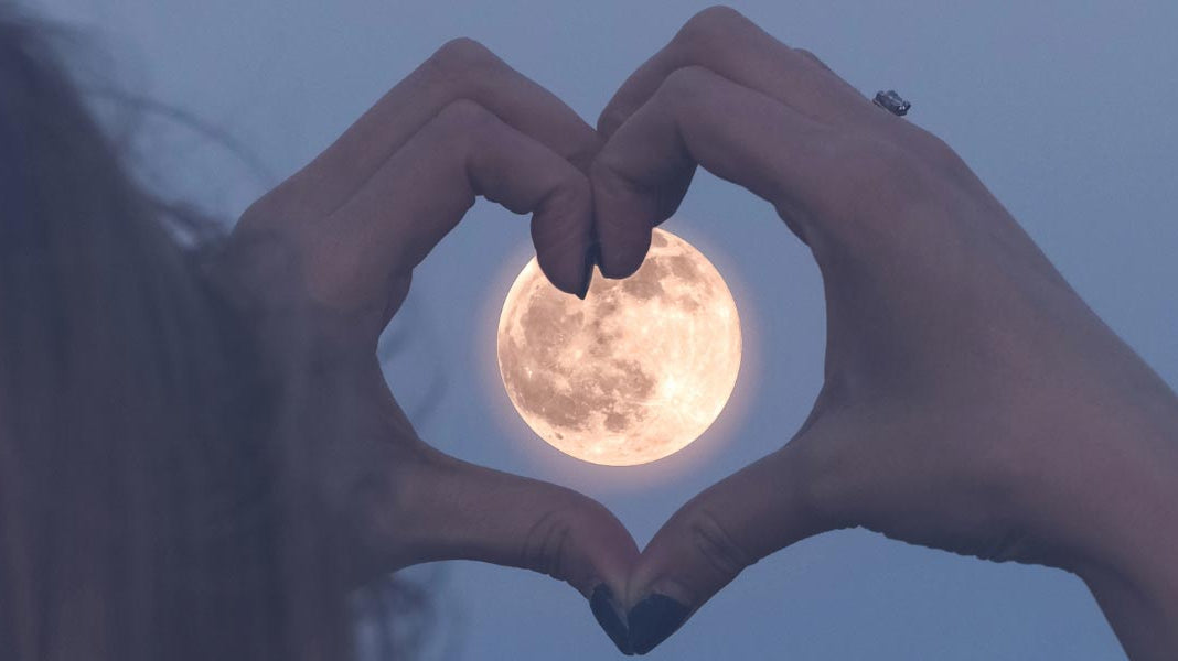 The Menstrual Cycle - Elliotti