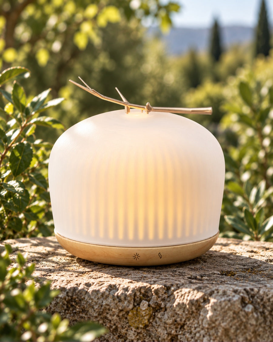 Aroma diffuser surrounded by greenery