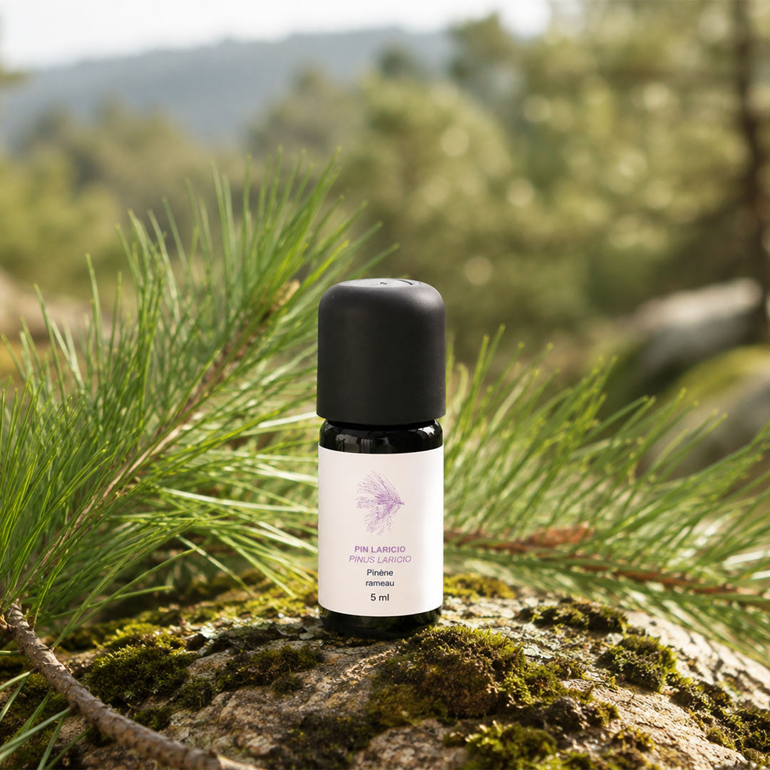 Small bottle with a white label on a mossy rock with greenery in the - background - Larichio Pine