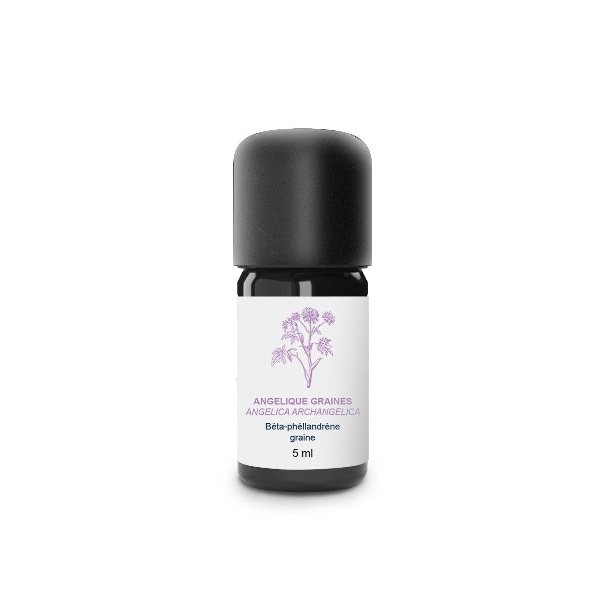 Essenciagua Angelica Seeds Organic Essential Oil, 5ml - Elliotti