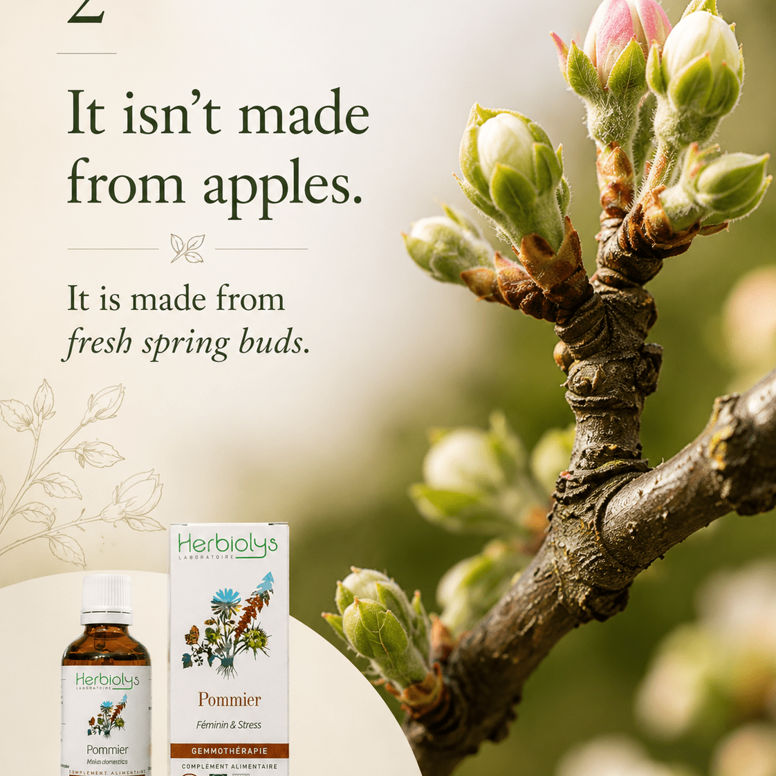Herbiolys Apple Organic Bud Extract, 50 ml - Elliotti