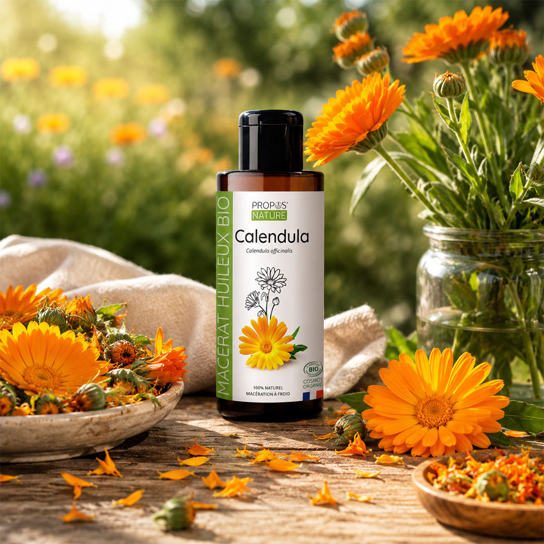 Calendula oil bottle with calendula flowers on a wooden table outdoors