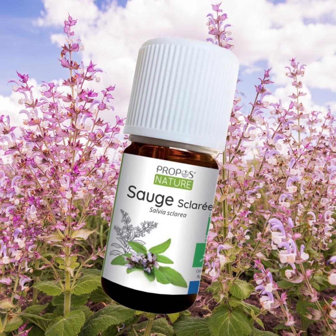 Organic Clary Sage Essential Oil - Elliotti