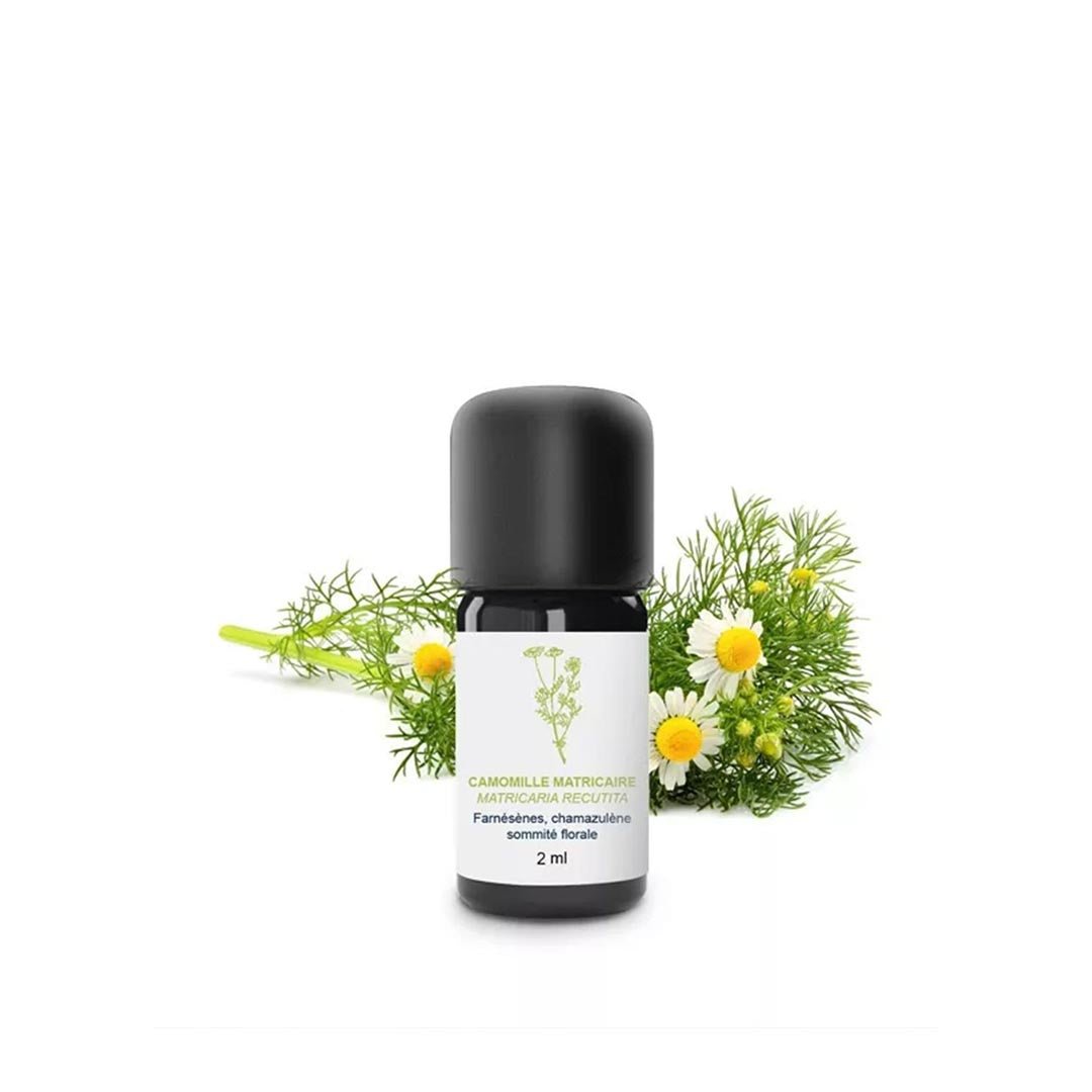 Essenciagua German Chamomile Organic Essential Oil, 2ml - Elliotti