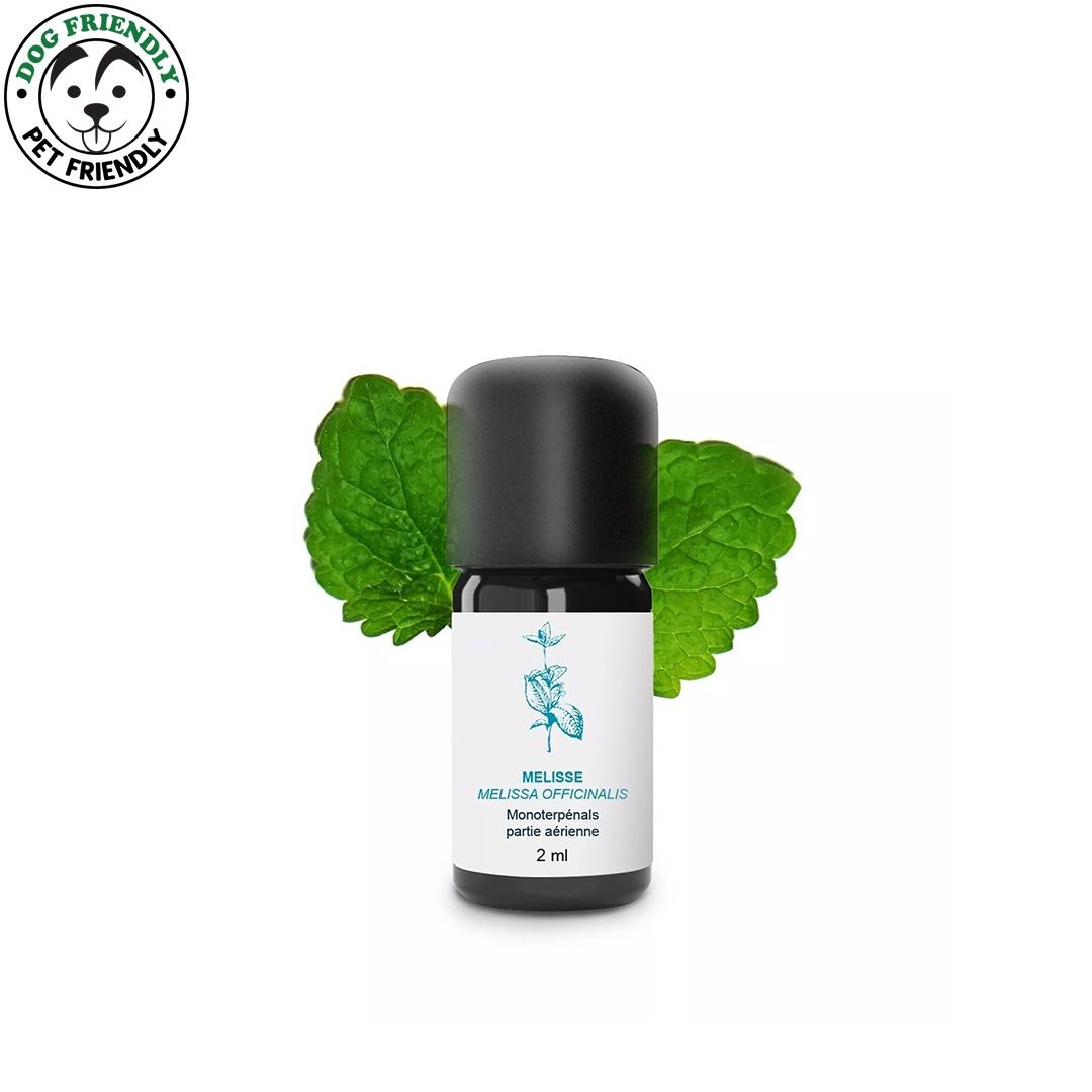 Essenciagua Melissa (Lemon Balm) Organic Essential Oil, 2ml - Elliotti