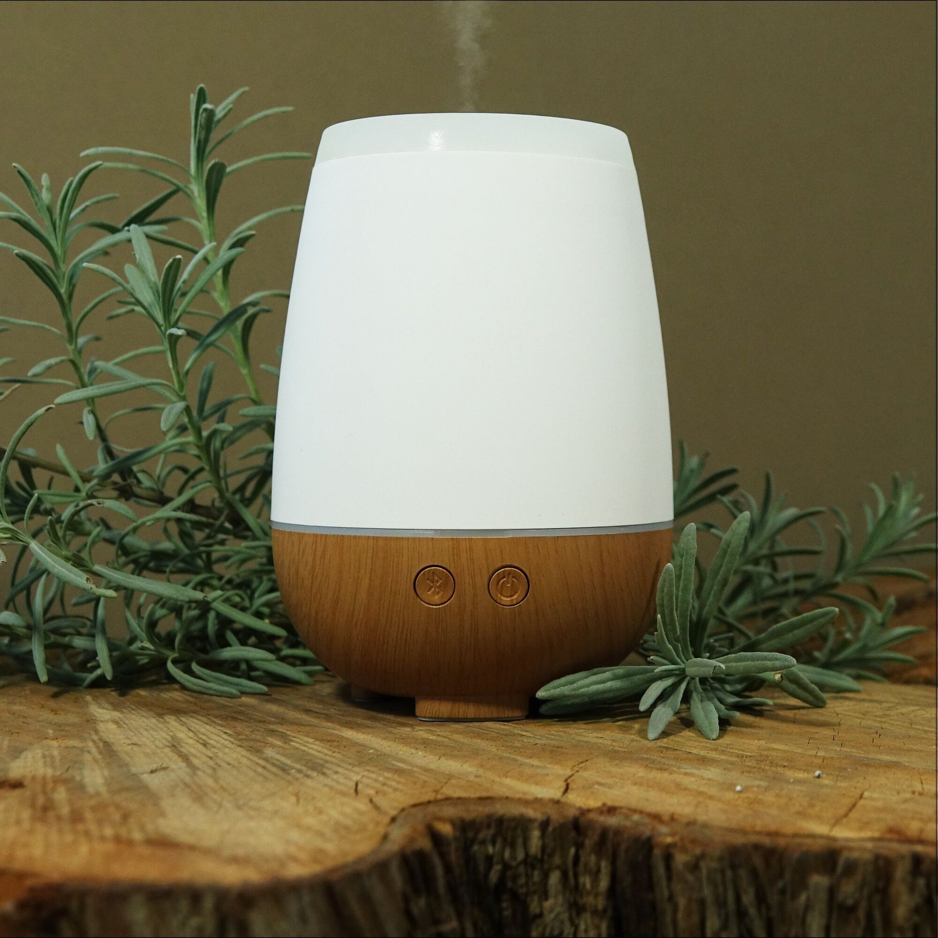 INNOBIZ Musilia Aroma Diffuser - Elliotti