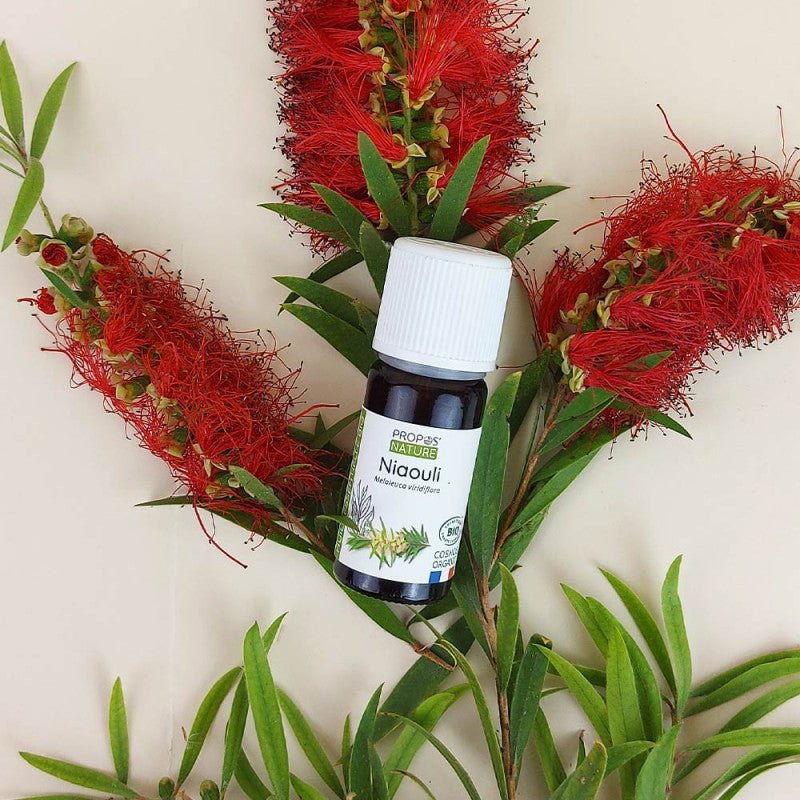 Propos'Nature Niaouli Organic Essential Oil, 10ml - Elliotti