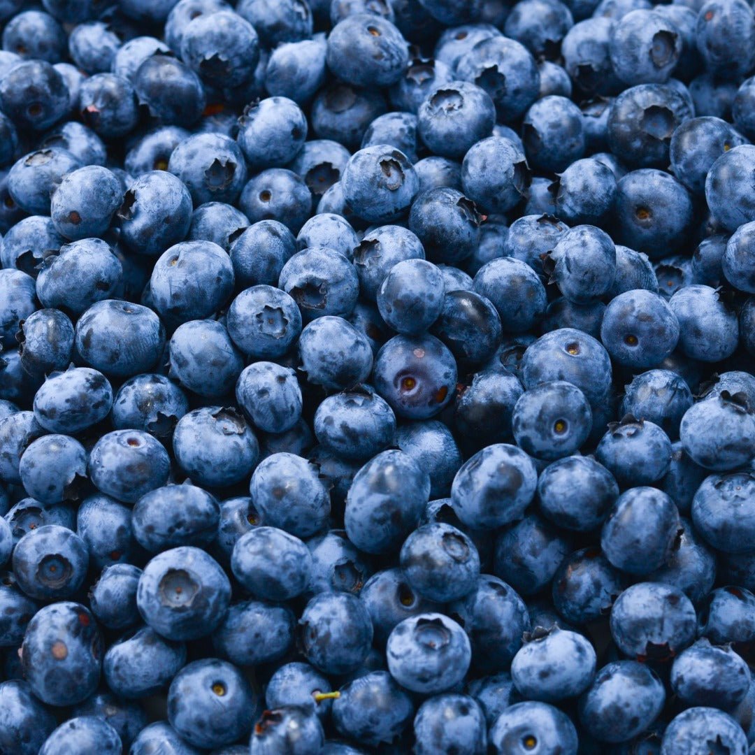 Bioptimal Organic Blueberry, 200 capsules - Elliotti