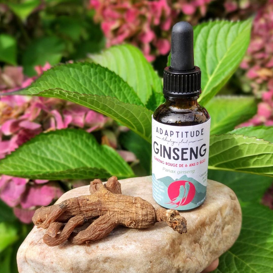 Adaptitude Organic Red Ginseng Extract, 50 ml - Elliotti