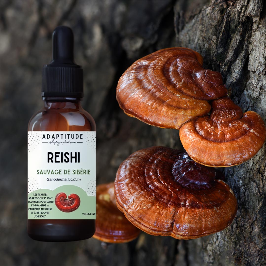 Adaptitude Organic Reishi Extract - Mushroom of Immortality, 50 ml - Elliotti