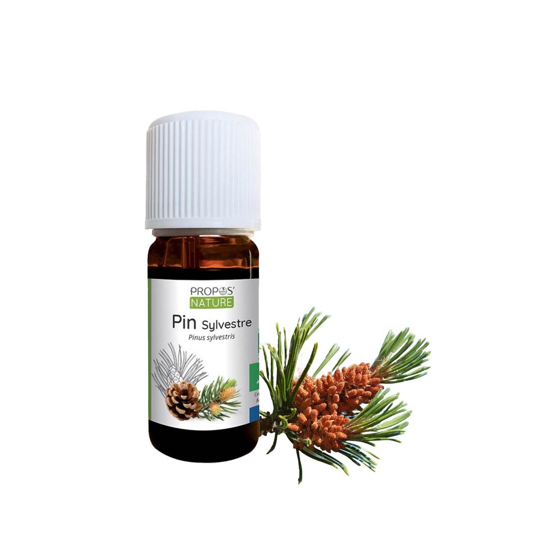 Propos'Nature Pine Scots Organic Essential Oil, 10ml - Elliotti