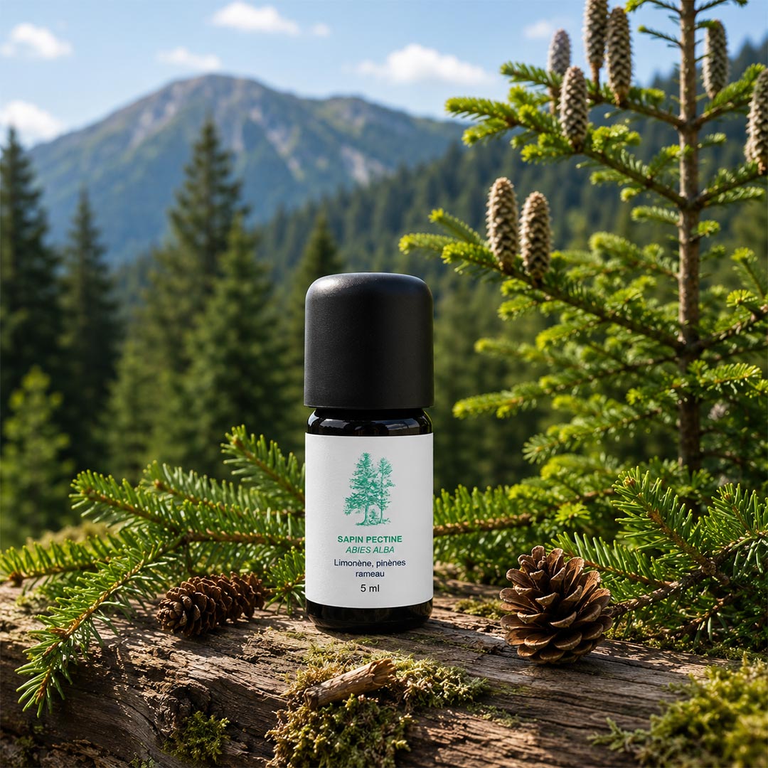 A small black bottle labeled SAPIN PECTINE - Abies alba - with a black cap and white label, placed on a log outdoors with pine branches, pinecones, and a mountain forest background.