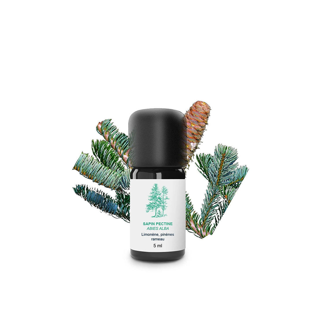 A 5 ml bottle of Saphin Pectine essential oil with a black cap and white label, set against a white background with decorative pine branches and a pinecone.