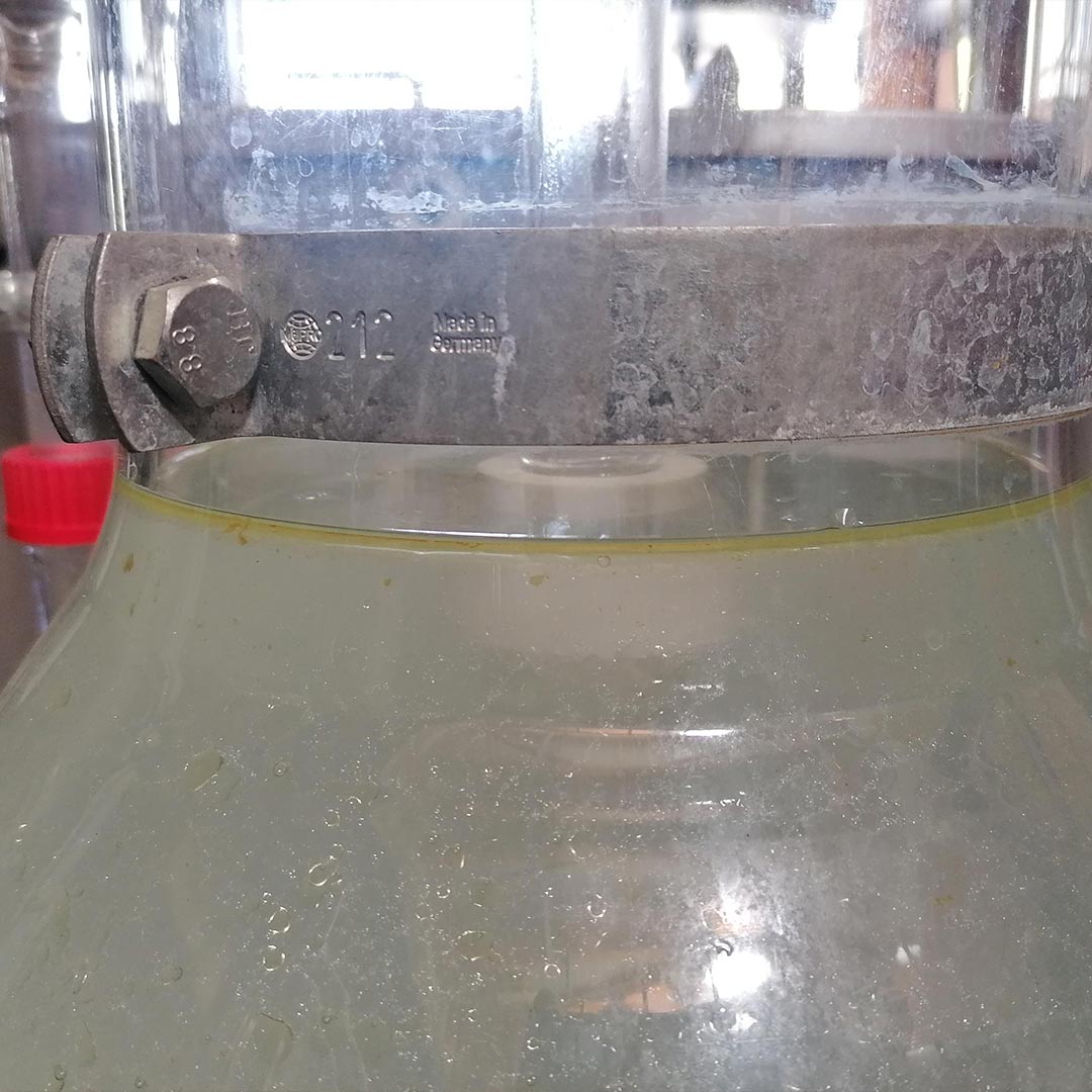 Essenciagua Yarrow Organic Essential Oil - Elliotti