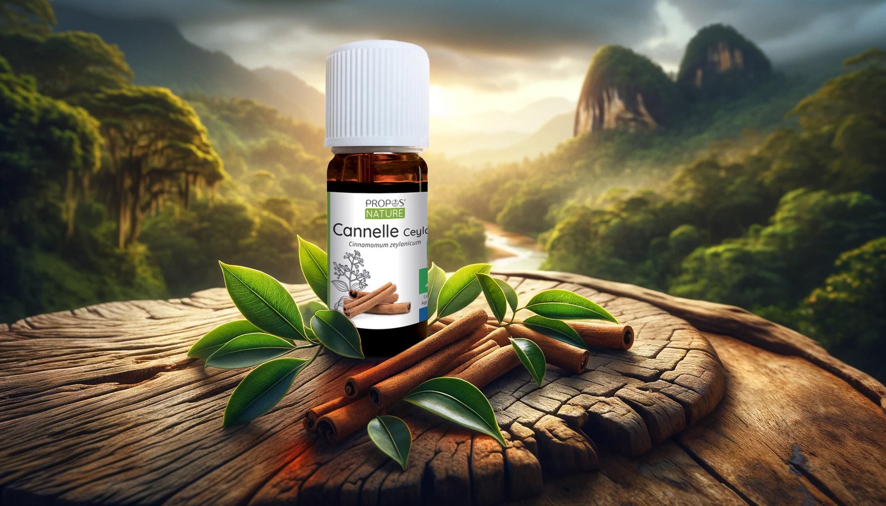 Cinnamon Oil: Your Guide to Benefits, Uses, and Tips - Elliotti