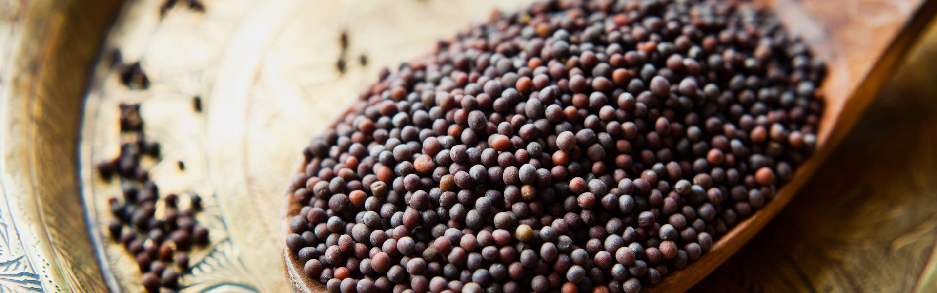 15 Amazing Ways to Use Mustard Oil for Hair, Skin, and Wellness