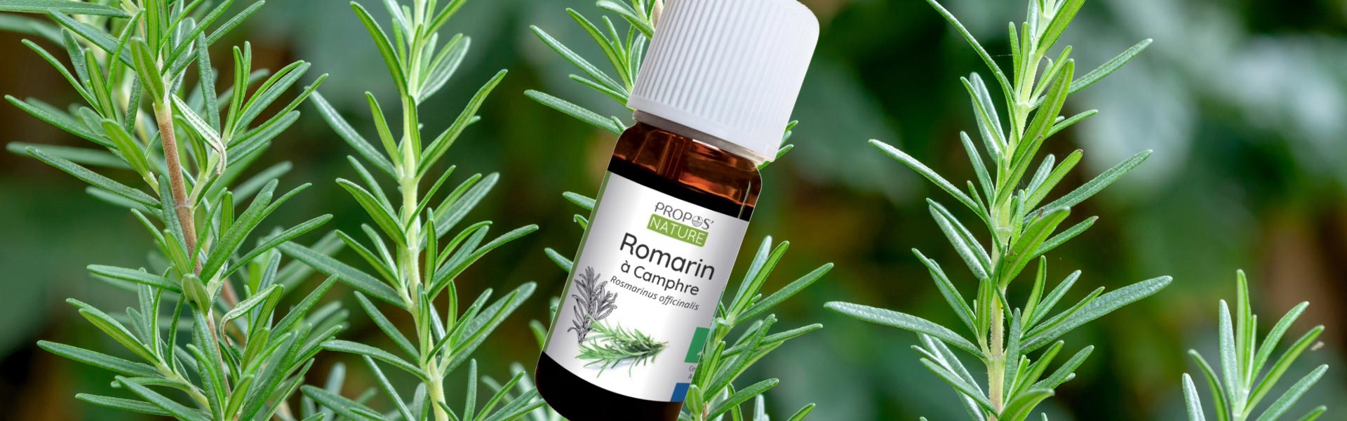 Want to improve cognitive and neural functioning by 226%? - Elliotti