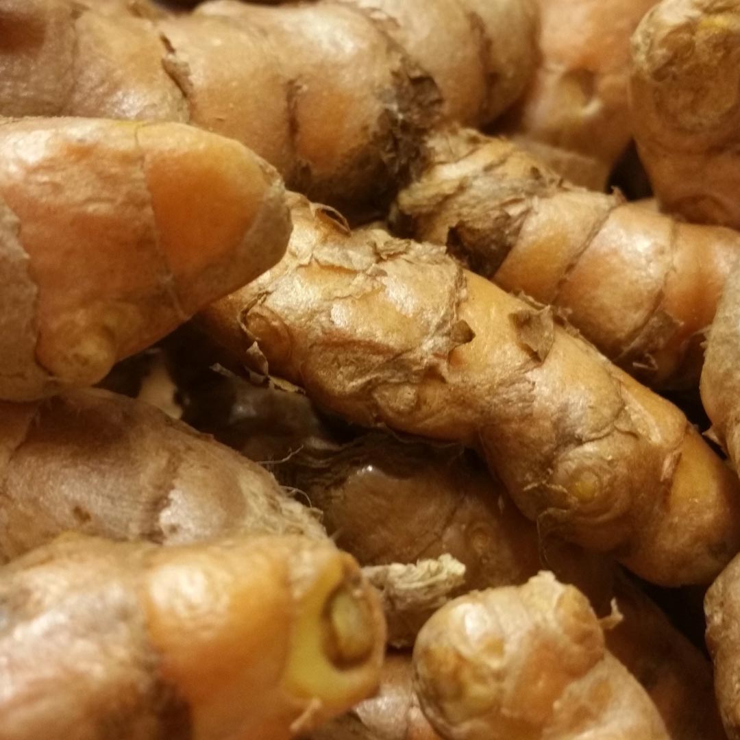 A close-up pile of fresh turmeric roots with rough, knobby surfaces in warm tan and golden-brown tones.