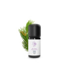 Small black bottle with a white label next to a sprig of green leaves on a white background - Larichio Pine