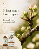 Herbiolys Apple Organic Bud Extract, 50 ml - Elliotti