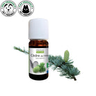 Laboratoire Propos'Nature Atlas Cedarwood Organic Essential Oil, 10ml - Elliotti