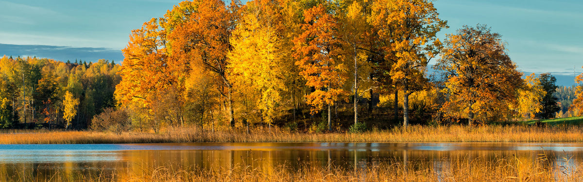 Autumn landscape print featuring a calm lake with golden-yellow and orange trees along the shoreline, with distant blue mountains under a clear sky.