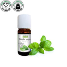 Laboratoire Propos'Nature Basil Tropic Organic Essential Oil, 10ml - Elliotti