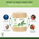 Benefits of using Sage - Elliotti