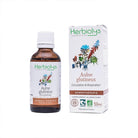 Herbiolys Black Alder Organic Bud Gemmotherapy - Elliotti