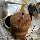 Essenciagua Blackcurrant Organic Essential Oil from Burgundy, 2ml - Elliotti