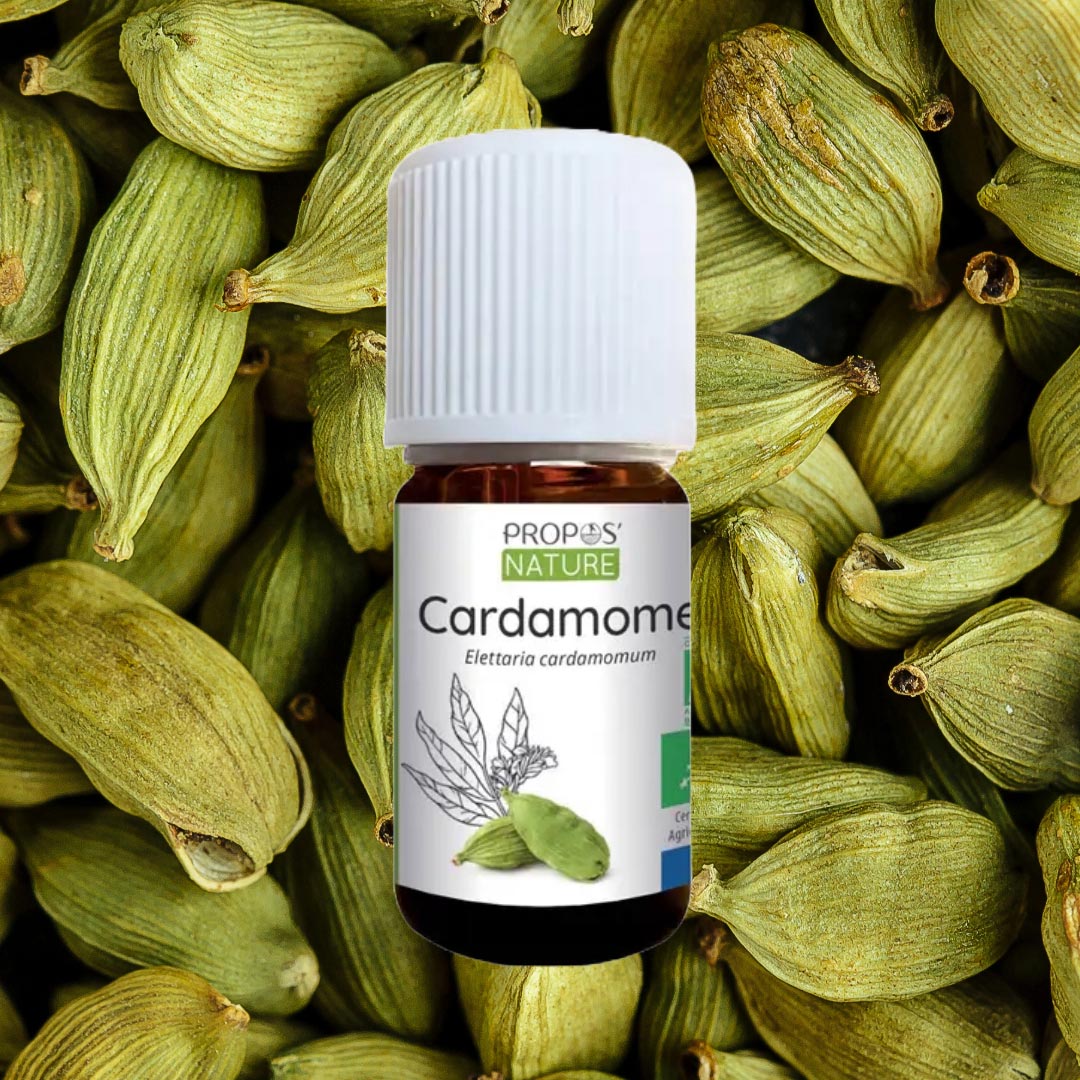 A bottle of Propos Nature Cardamom essential oil on the background of cardamom seeds