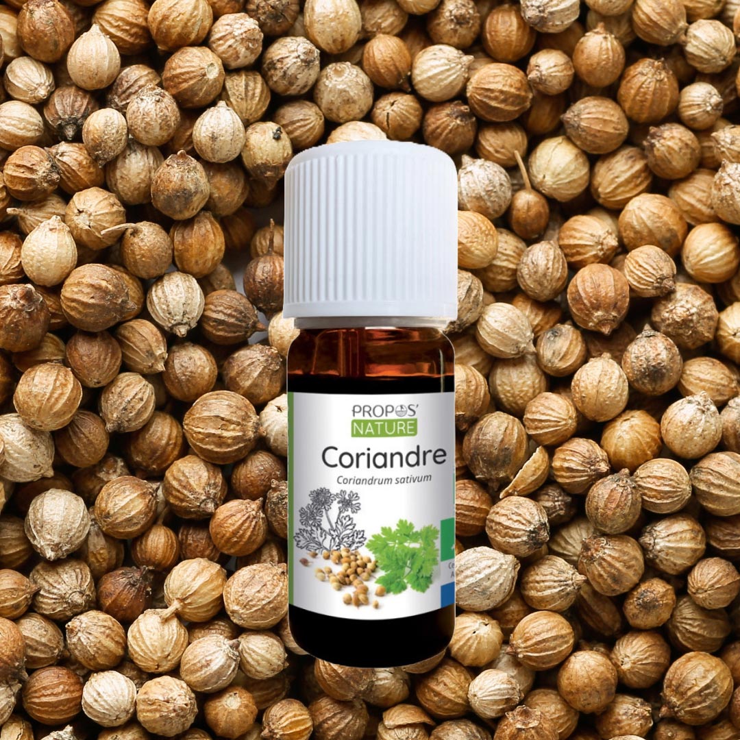 A bottle of Coriander essential oil from French Propos Nature on the background of coriander seeds