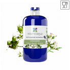 Essenciagua Coriander (Seeds) Organic Hydrosol, 250ml - Elliotti