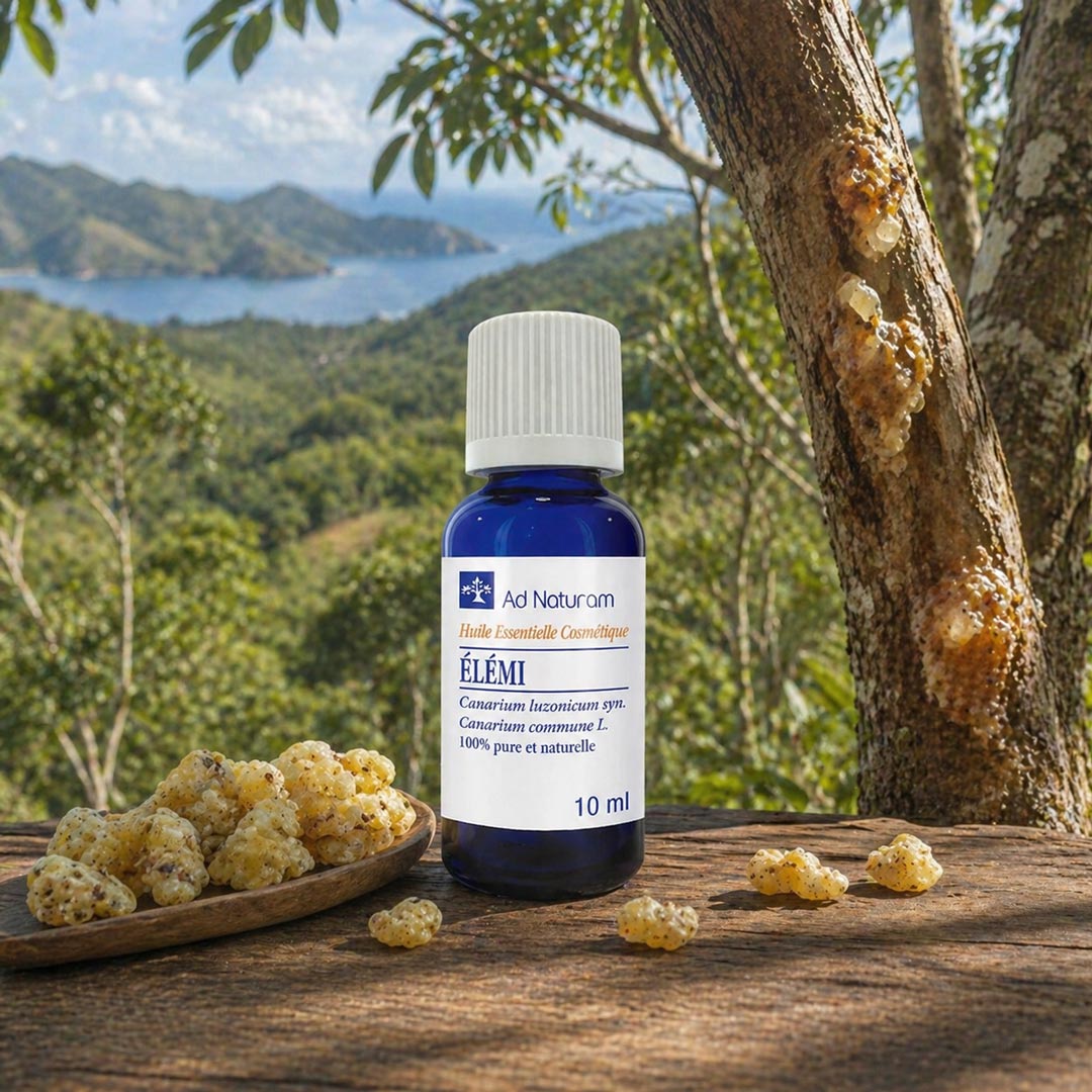 Ad Naturam Elemi Organic Essential Oil, 10 ml - Elliotti