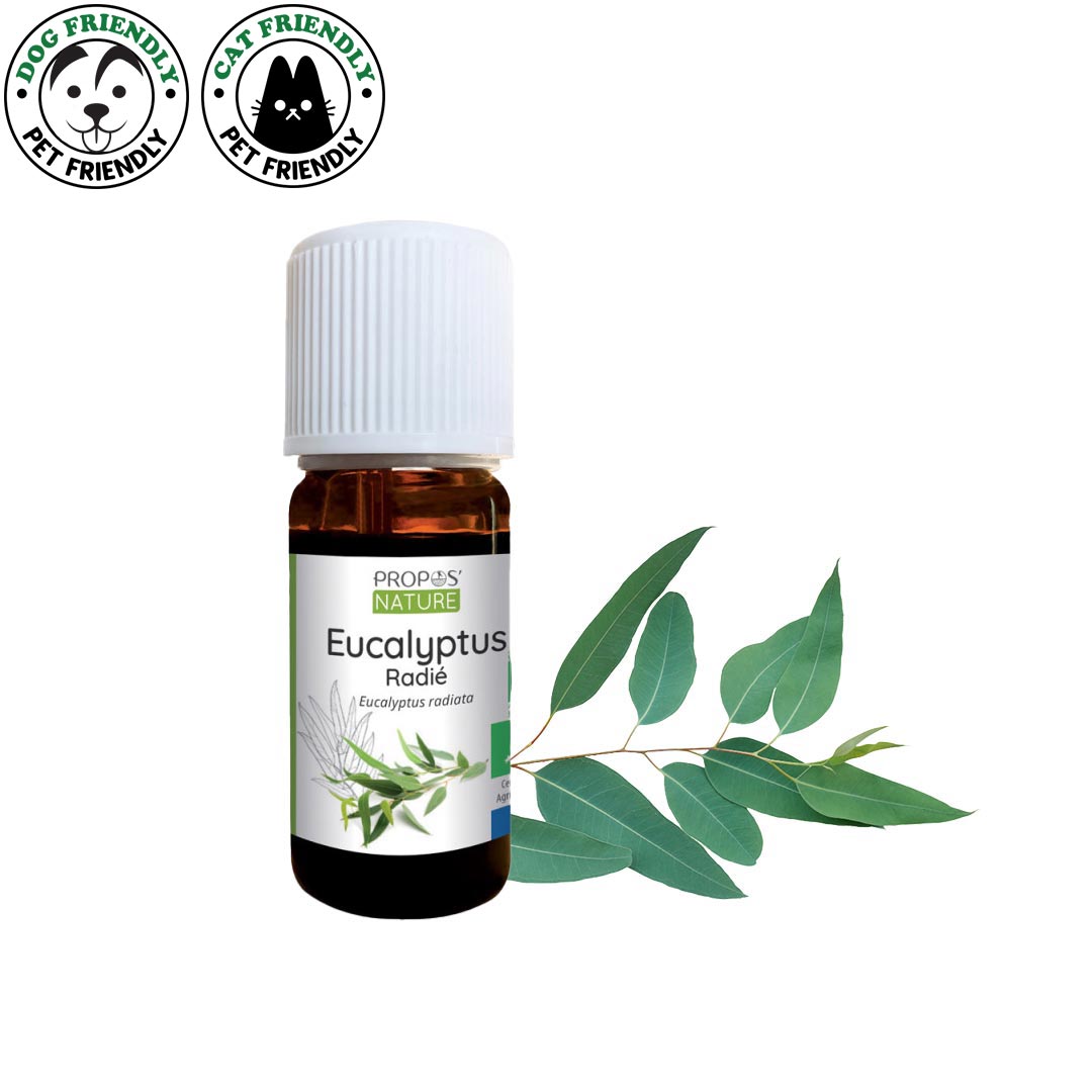 Propos'Nature Eucalyptus Radiata Organic Essential Oil, 10ml - Elliotti