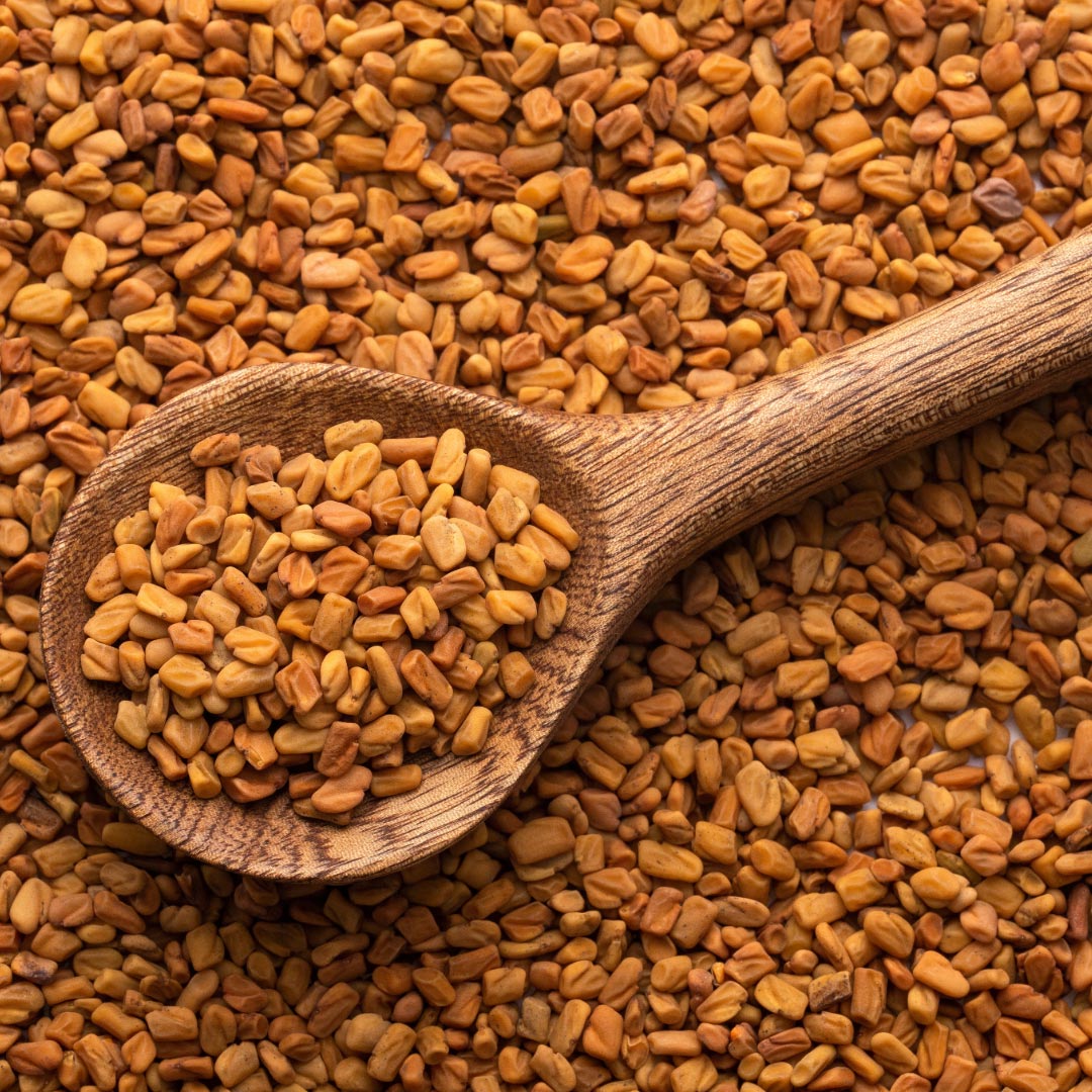  Fenugreek seeds - Elliotti