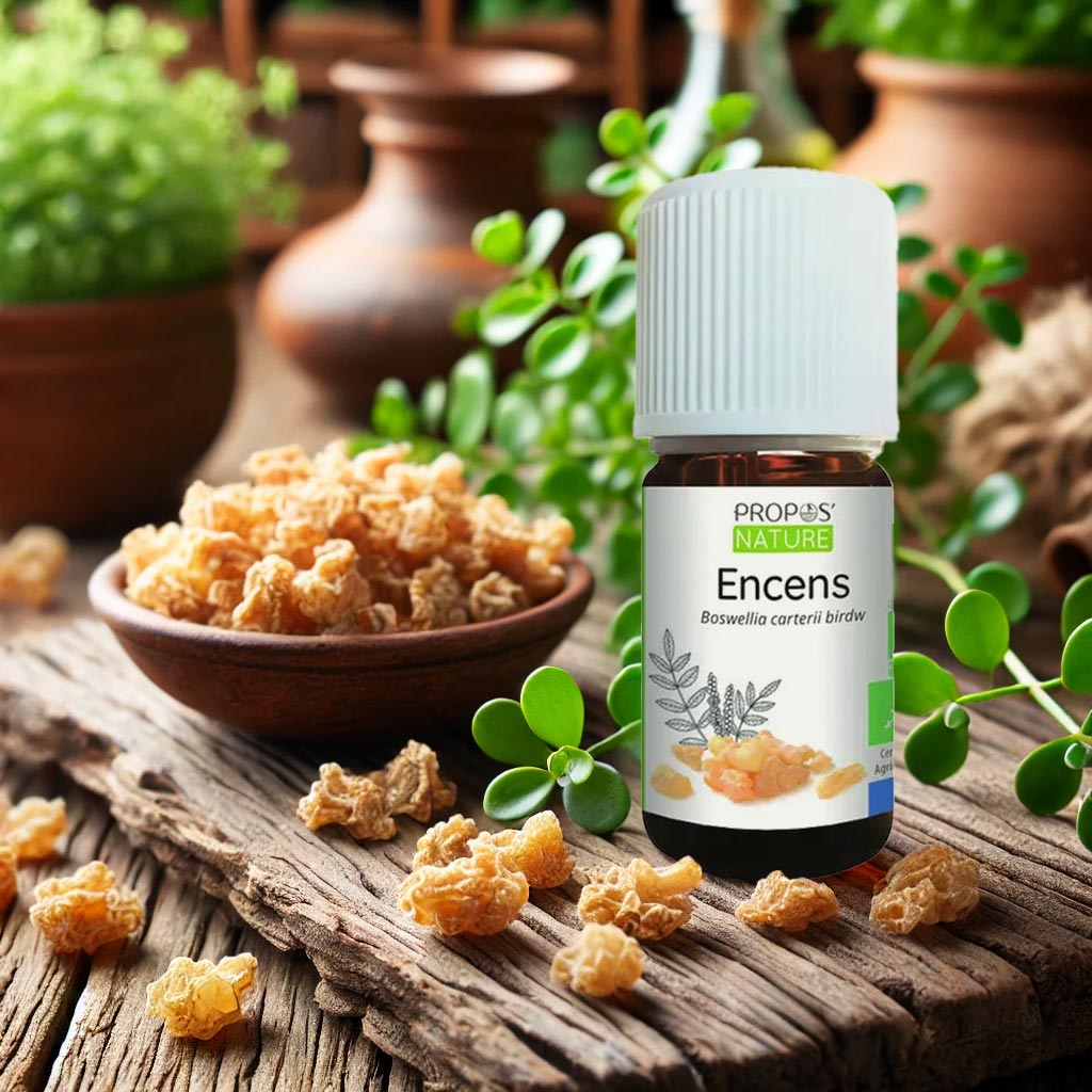 Organic Frankincense Essential Oil - Elliotti