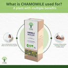 Bioptimal German Chamomile Organic Infusion, 50g - Elliotti