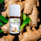 Ginger Essential Oil, Organic Propos'Nature - Elliotti