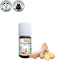 Laboratoire Propos'Nature Ginger Organic Essential Oil, 5ml - Elliotti