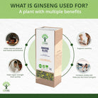 Bioptimal Ginseng Organic Infusion, 50g - Elliotti