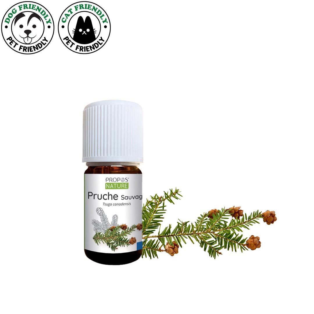 Propos'Nature Hemlock Organic Essential Oil, 5ml - Elliotti