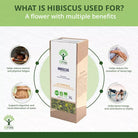 Bioptimal Hibiscus Organic Infusion - Elliotti